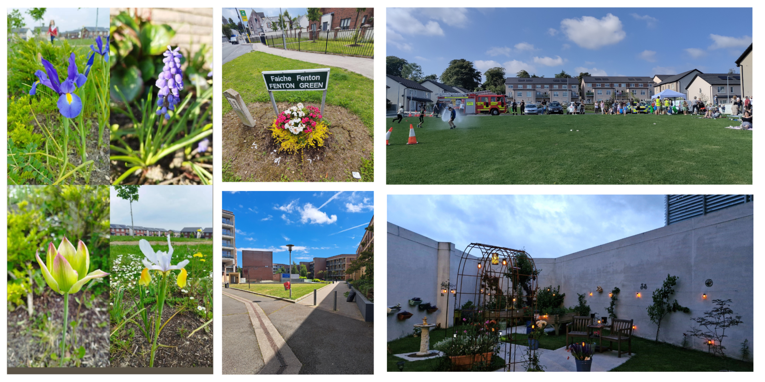 Celebrating Community Spirit: Tuath Housing Best Kept Estate Awards 2024